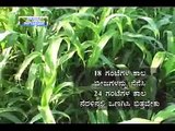 31 05 2013 cropping pattern for dry land agri dr b k ramachandrappa and new iihr techs in veg cultn