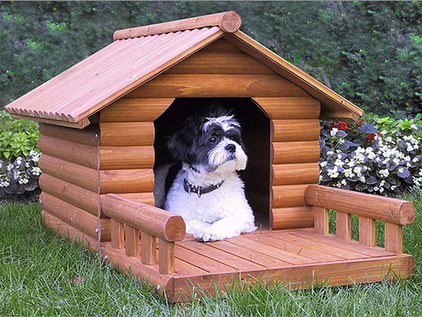 Pet дом. Собачья будка. Домик для собаки. Собачья будка своими руками. Собака в загородном доме.