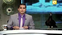 لقاء باسم يوسف مع Ultras Bassem Youssef | Wall Street Journal