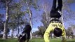 Amazing Parkour Dog   Best Dog Trick