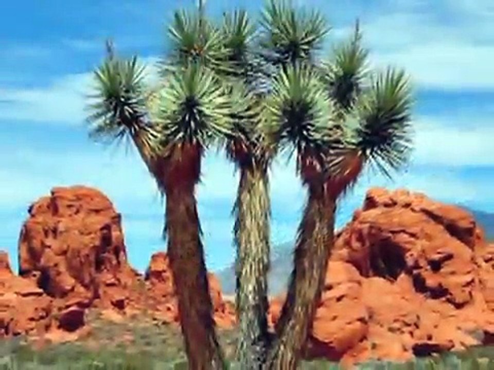 Gold Butte, Nevada