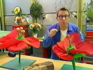 C'est pas Sorcier(l'Essentiel) La Forêt, Ecosystème, Exploitation