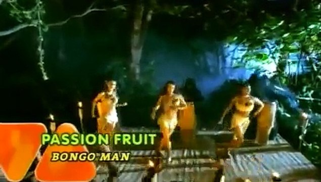 Passion Fruit - Bongo Man