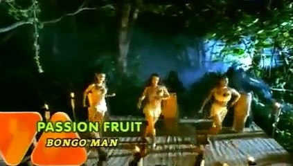 Passion Fruit - Bongo Man