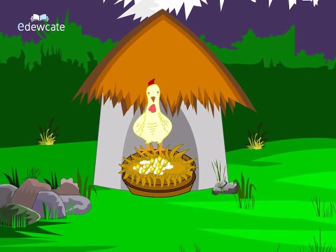Telugu Cartoon Story | Bangaru Kodi Pilla | A Wise Little Hen