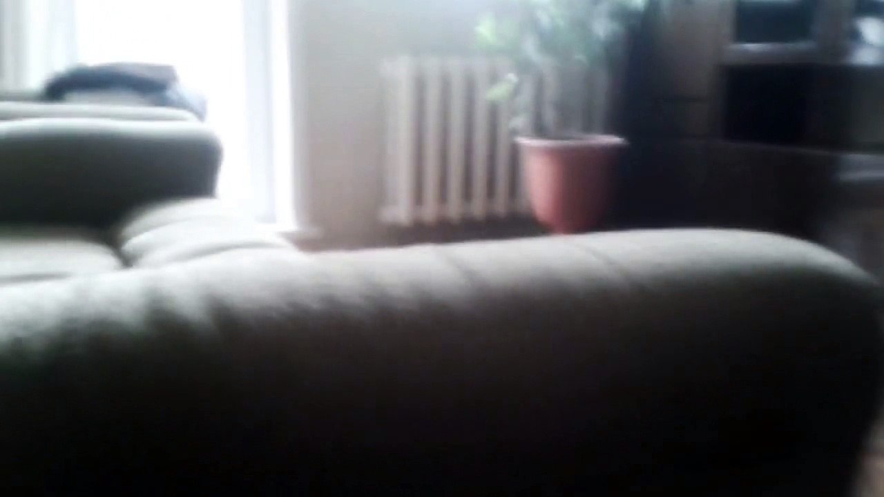 смешной кот.смешные видео про котов. ржач до слёз.