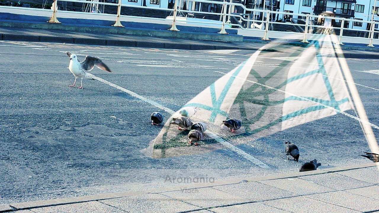 Aberystwyth flags, new flags added, old flags removed