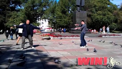 FAIL Blog  Dueling With Pigeons WIN