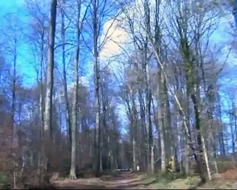 Forêt de Lyons - Lyons-la-Forêt.avi