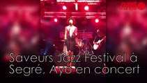 Saveurs Jazz Festival à Segré, Ayo en concert