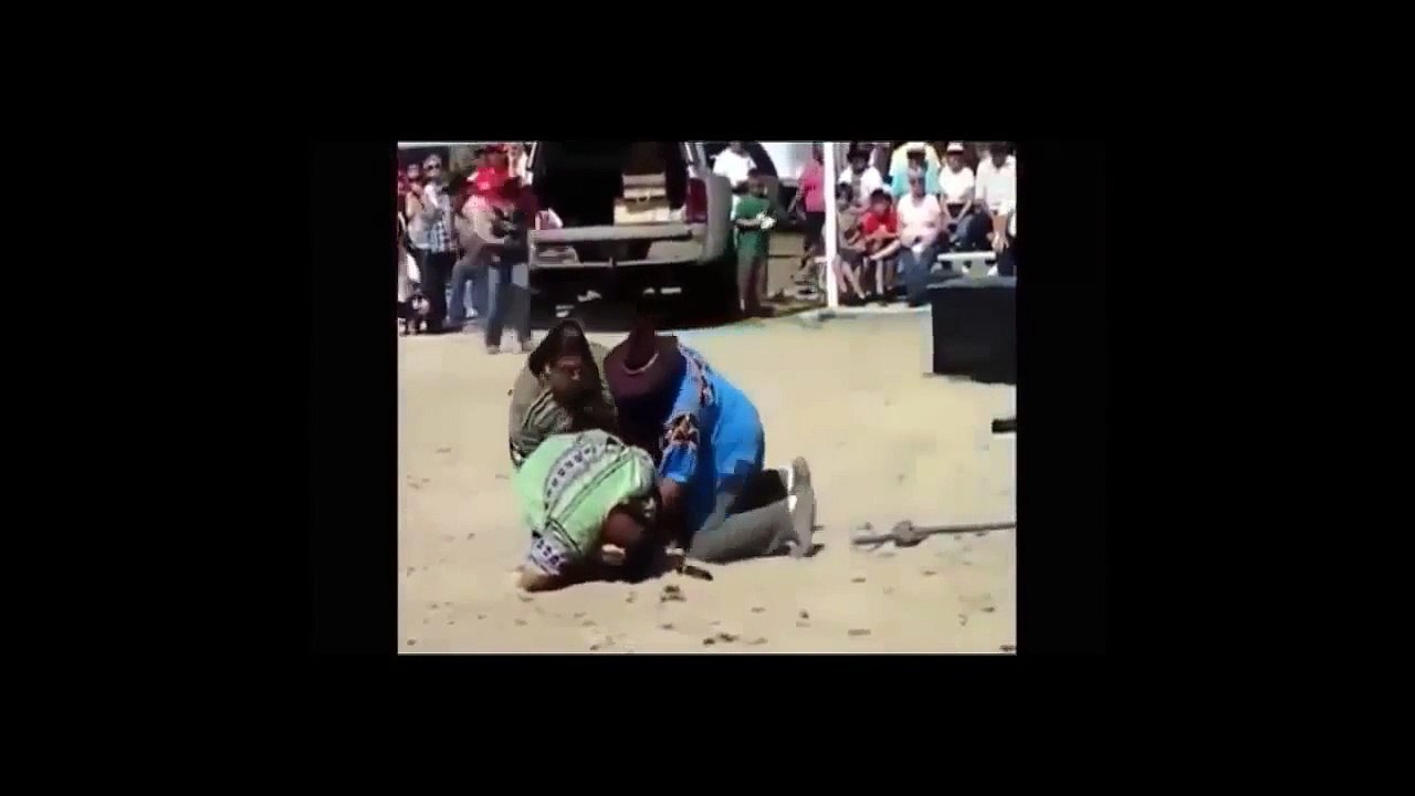 animal attacks on human 2015