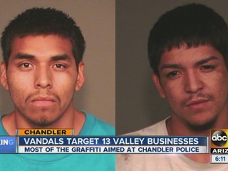 Vandals target 13 Valley businesses