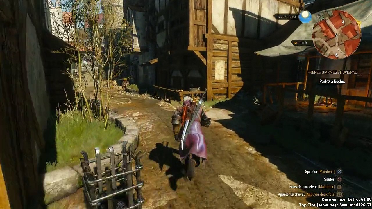 THE WITCHER #13