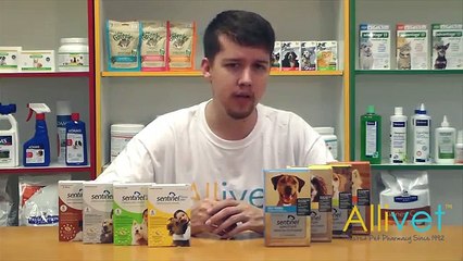 Video of Sentinel Tablets for Dogs and Puppies