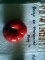 Saving tomato seeds the easy way