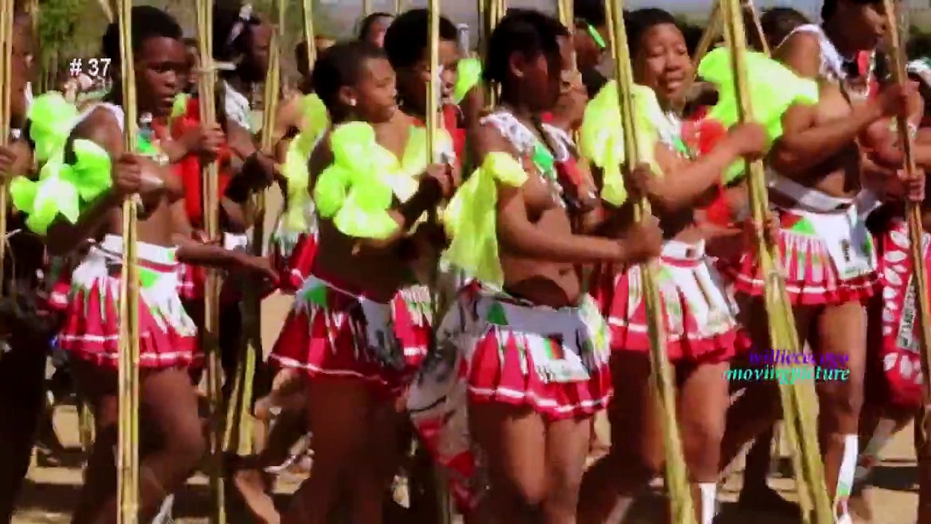 Zulu Reed Dance 2014 Pictures