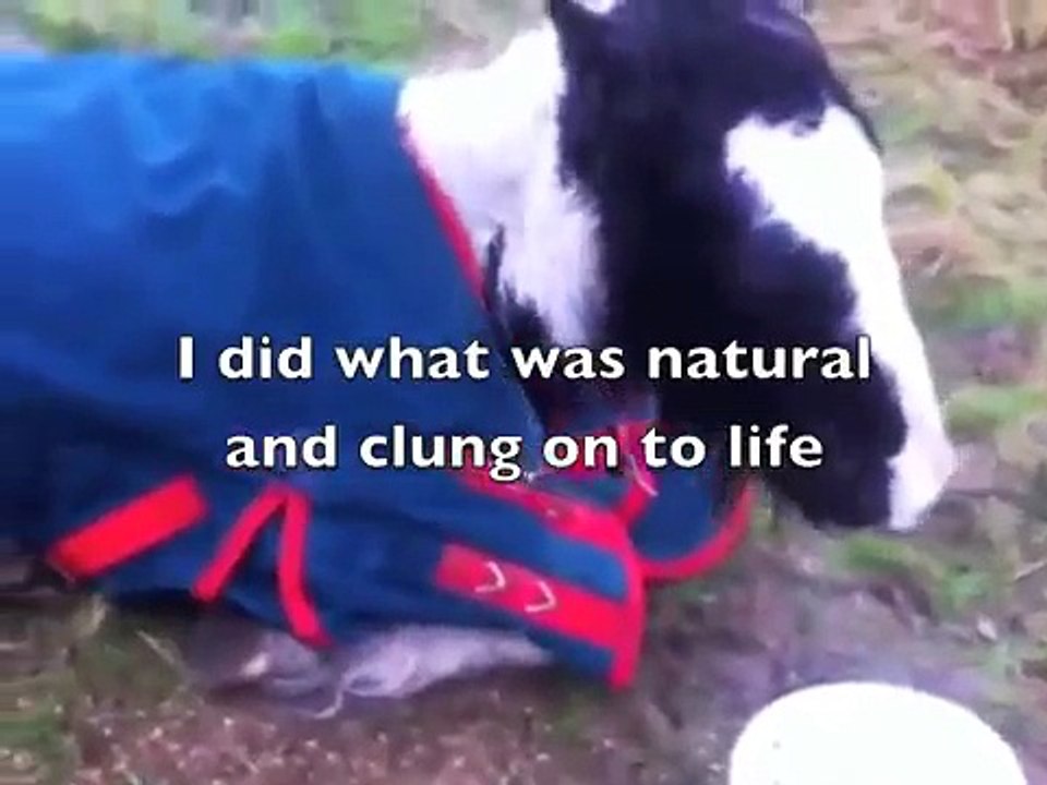 Benji's story