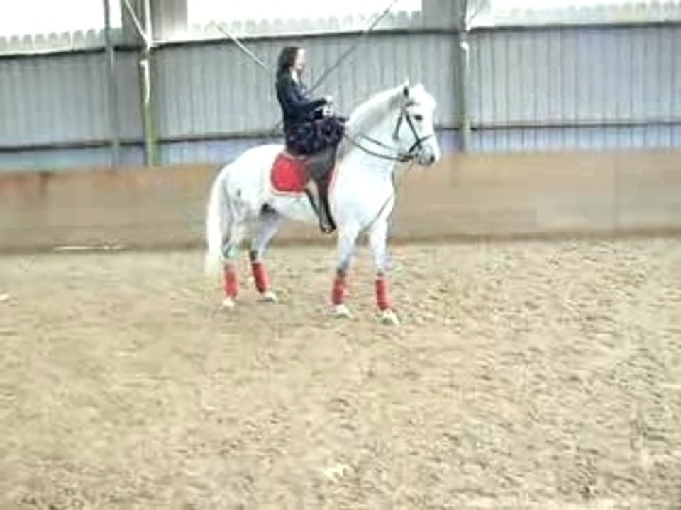Levade