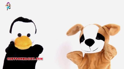 Happy Birth Day Song || Funny Cartoon Puppets BDay