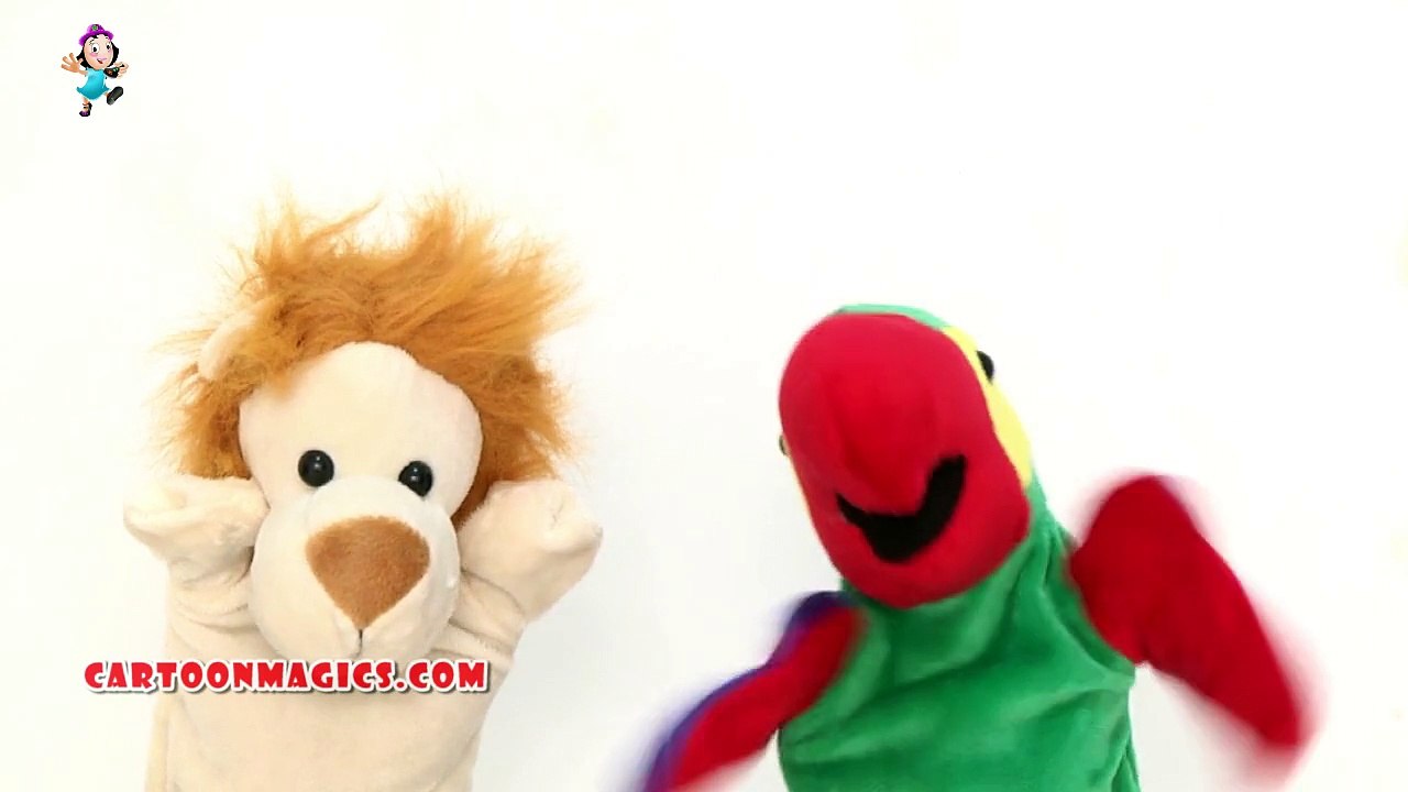 The Wheels on the bus go round and round song Lion With parrot