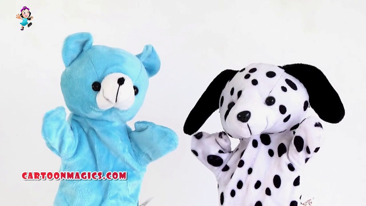 Dog and panda Daddy Finger Nursery Rhymes | Animals Finger Family Song