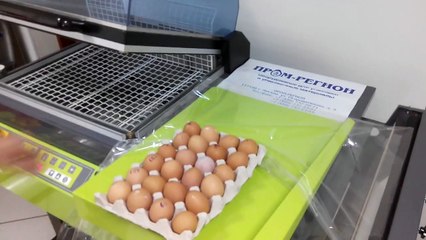Упаковка в термоусадочную пленку яйца на ЕКН-455  ПромТрансПак