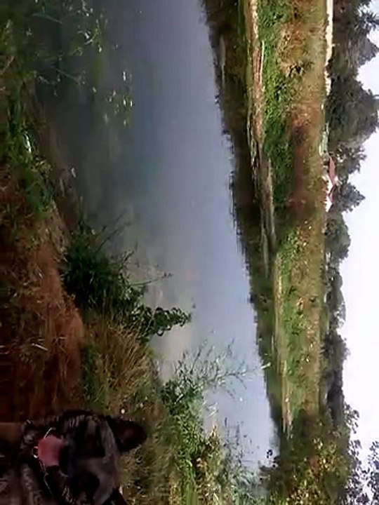 VID_20150705_103429
