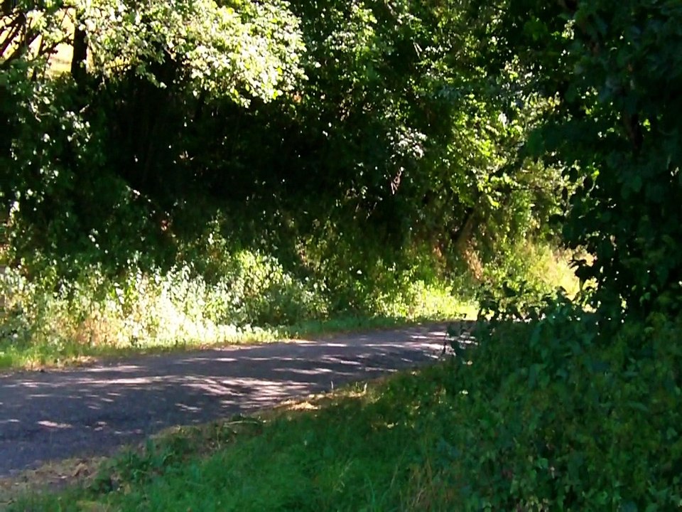 rallye du rouergue 2015