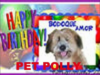 Cumpleaños del Bodoque con sus Amigos del Petflog