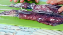 Pulizia Calamari - Come pulire i calamari