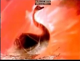 Depeche Mode - New Life 1981