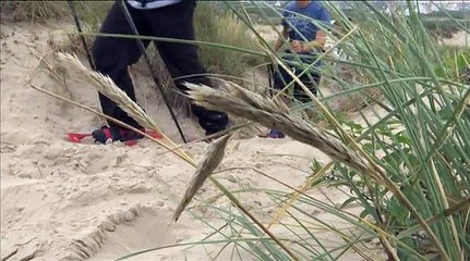 En raquettes sur la plage d'Hardelot