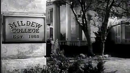 los tres chiflados - El mundo es violento para Curly 1