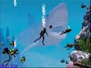 Sauvez les requins 02.wmv