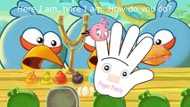 Finger Family Song for kids - Angry Birds Song Birds Nursery Rhymes Children Song