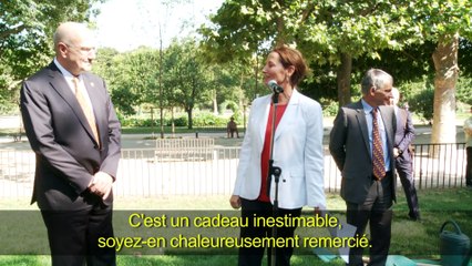 Plantation d’un Ahuehuete, arbre mexicain, au Jardin des Plantes