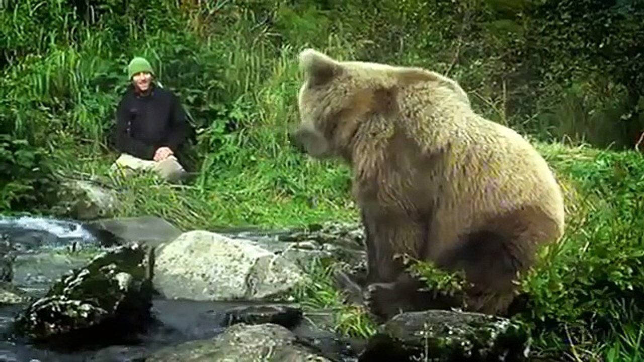 ALONE AMONG GRIZZLIES