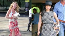 Joss Stone, Lady Gaga & Other Celebrities With Pint Sized Pets