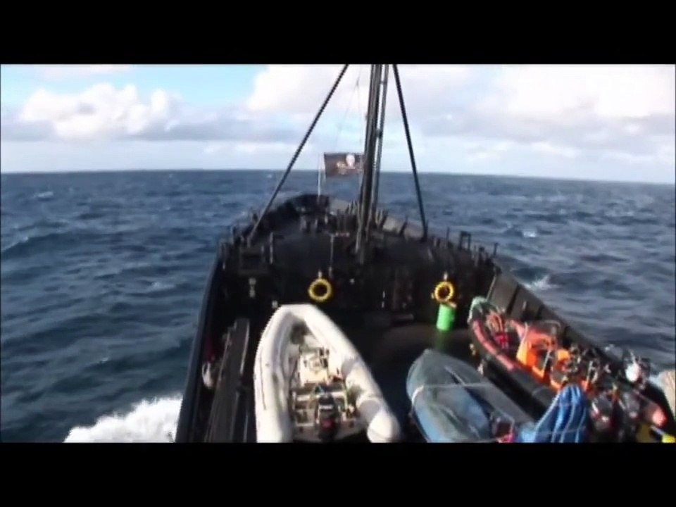 Sea Shepherd - Whale Wars