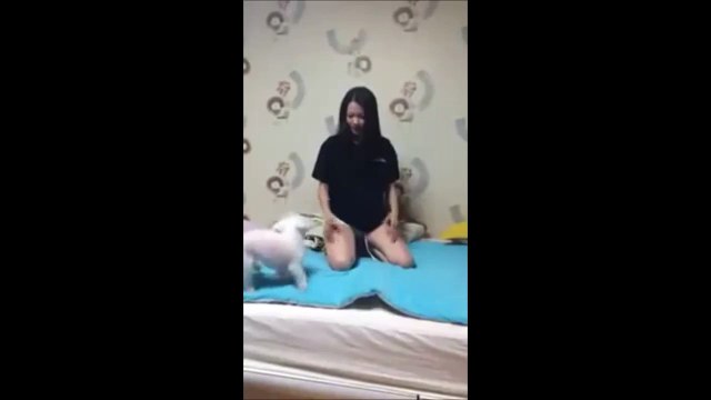 Owner pretends to be dead - Dog leaps into action