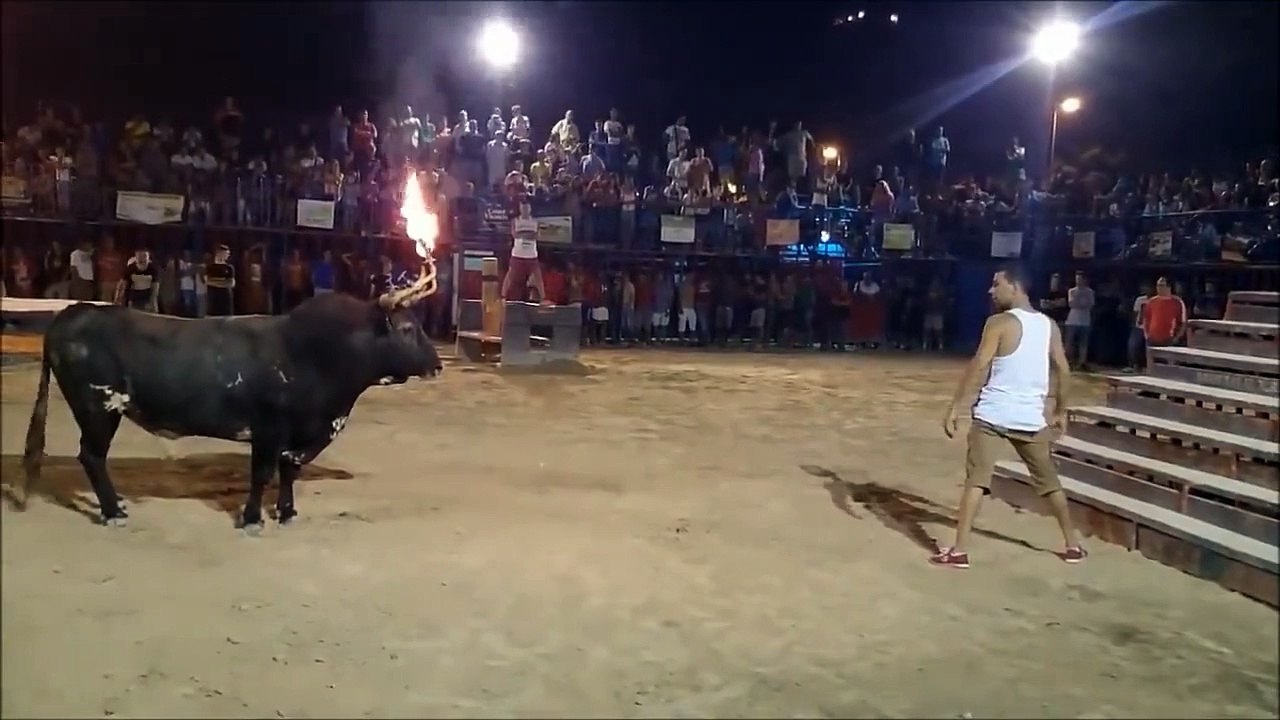 amazing fight