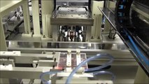Dye-sensitized solar cell module assembled by fully automated machine.
