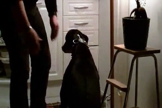 1 / Dont be disturbed, but more gentle ways just didnt work...