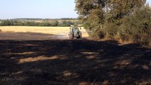 Incendie dans un champ de blé
