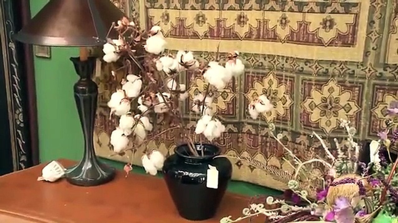 News 12 Takes You on a Tour of the James Brown Estate