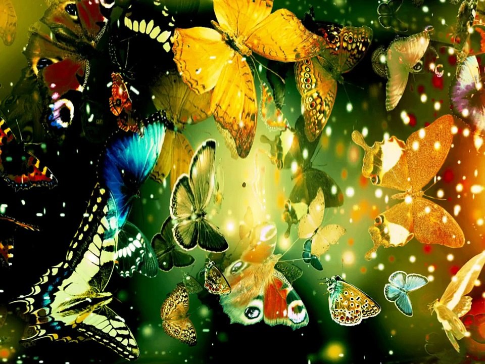 أنشودة أتدري من يزيل الهم مشاري العرادة