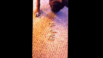 🎉 Celebrate Desmond's Special Day! Happy Birthday!