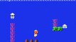 NES Super Mario Bros Glitches