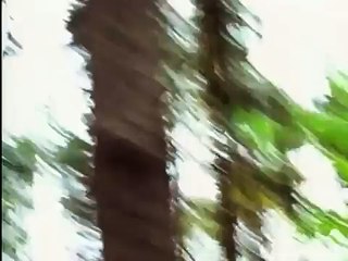 I'm Still Here   Holocaust Survivor Diaries