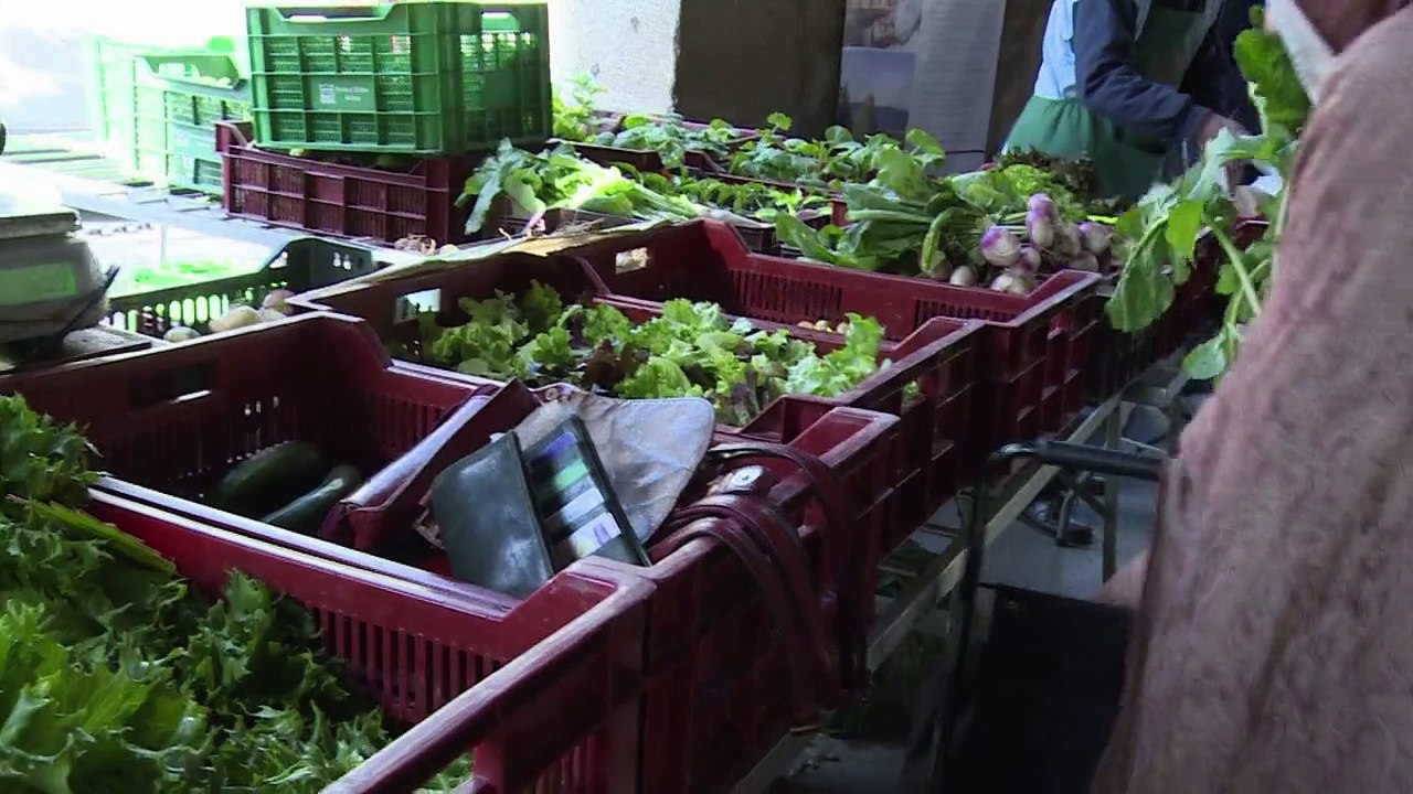 Flucht ins Funkloch: Wenn Elektrosmog krank macht